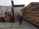 Volledig automatische snel droogende houtoven voor zacht hout 30 - 150 m3 capaciteit