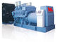 Generator van de Eco de Vriendschappelijke Dieselmotor 250 - 3000 KVA MTU het Motor Lange Dienende Leven
